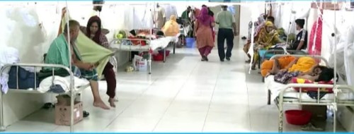 রাজধানী সহ সারা দেশে ডেঙ্গুর তান্ডব থামছে না, প্রতিদিন প্রাণহানি খবর আসছে
